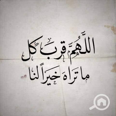 8 images (3). jpeg. jpg