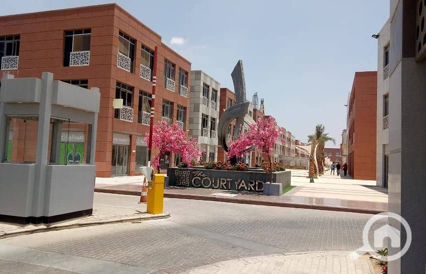 9 TVtHNw6QG5DY7Vj2bPUOw. jpg