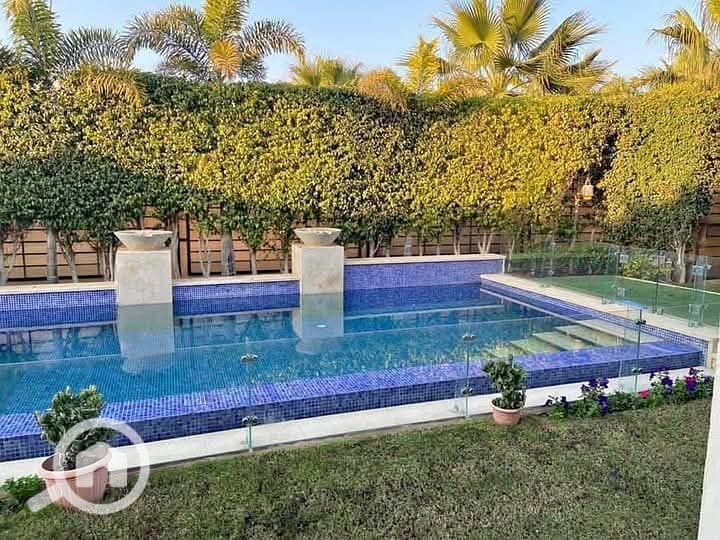 7 95174bce-fed0-43e9-ae91-be974465cb14. jpg