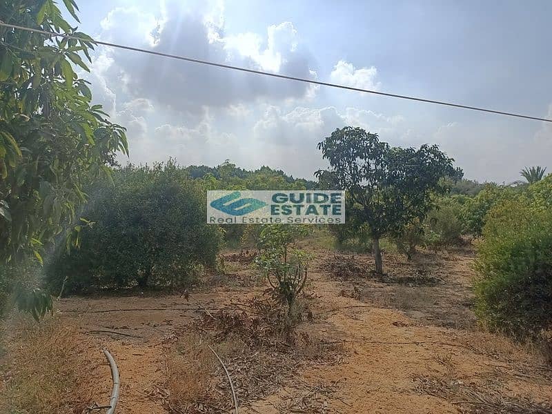 12 IMG20221206125733. jpg