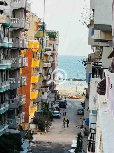 فلیٹ 2 غرفة نوم للبيع في النخيل، الإسكندرية - 1000385788. jpg