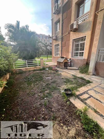 2 Bedroom Flat for Rent in Madinaty, Cairo - 1000048260. jpg