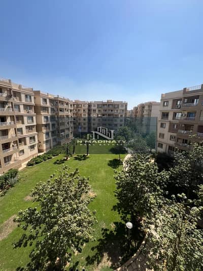 3 Bedroom Flat for Rent in Madinaty, Cairo - WhatsApp Image 2025-09-30 at 3.35. 14 PM. jpeg