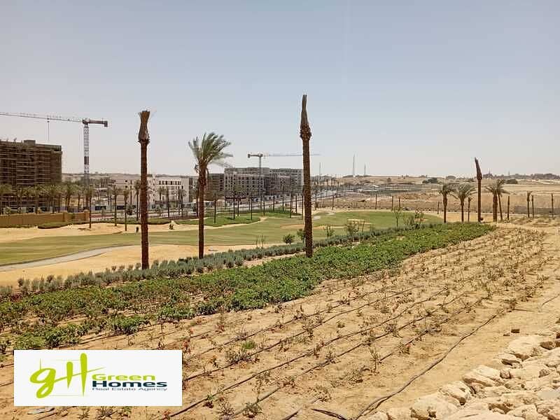 4 WhatsApp Image 2023-07-10 at 3.35. 28 PM. jpeg