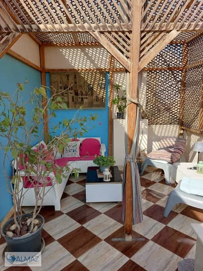 3 Bedroom Flat for Rent in New Cairo, Cairo - WhatsApp Image 2025-09-30 at 3.53. 07 PM. jpeg