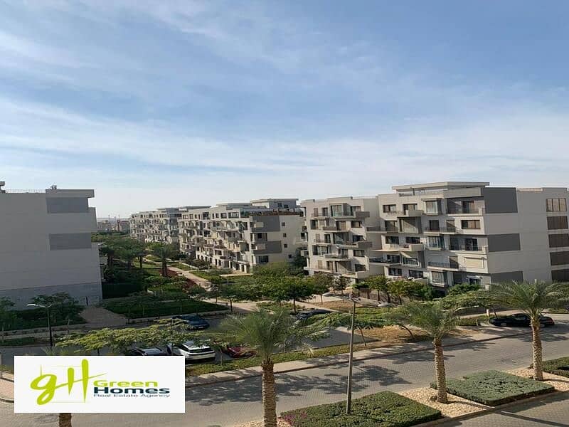 3 WhatsApp Image 2024-02-19 at 2.48. 47 PM. jpeg