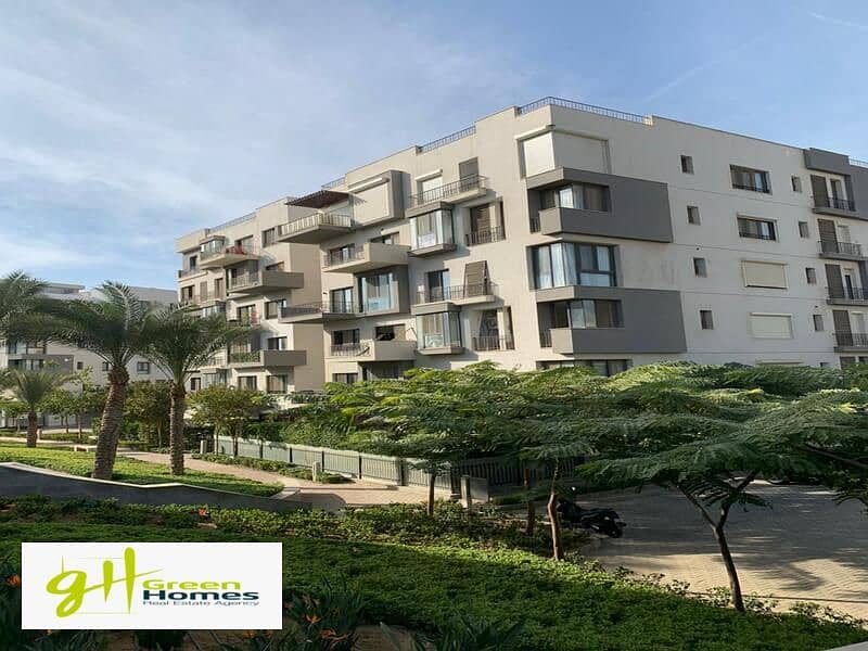 5 WhatsApp Image 2024-02-19 at 2.48. 48 PM. jpeg