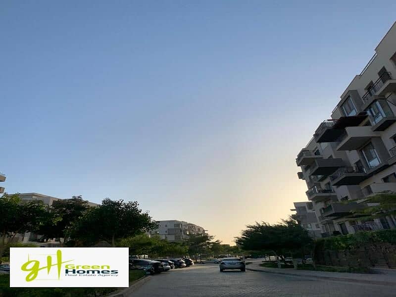 14 WhatsApp Image 2024-02-19 at 2.48. 53 PM (1). jpeg