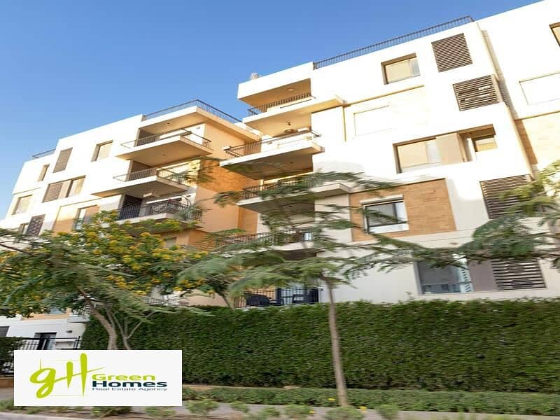 15 WhatsApp Image 2024-02-19 at 2.48. 53 PM (2). jpeg