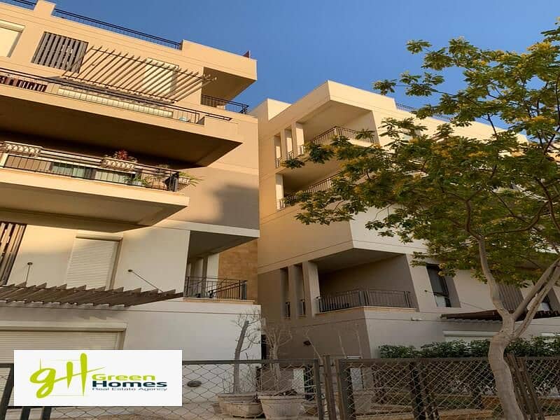 17 WhatsApp Image 2024-02-19 at 2.48. 54 PM (1). jpeg