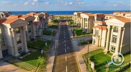 13 Screenshot_3. jpg