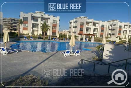 شاليه 3 غرف نوم للبيع في الساحل الشمالي، مطروح - 097643. jpg شاليه 3 غرف نوم للبيع في الساحل الشمالي، مطروح - 097643. jpg