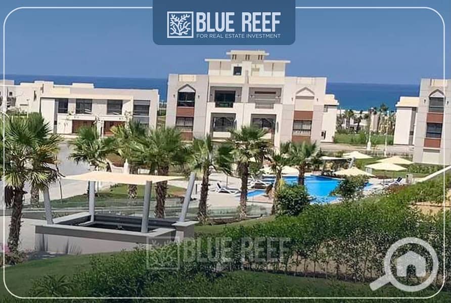 6 بلاتنمكط. jpg