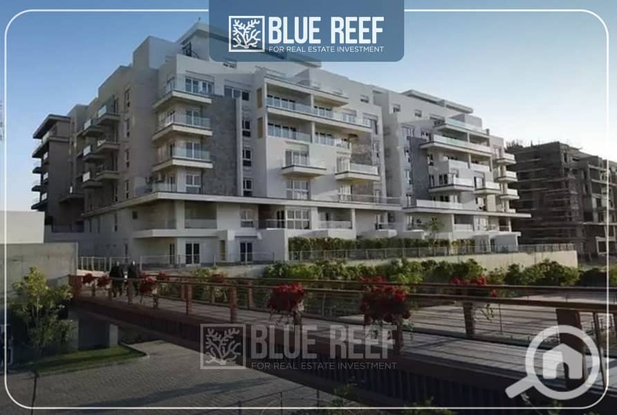 10 Bluereef  - Templete. psdsdfcv (1)-Recovered - Copy. jpg