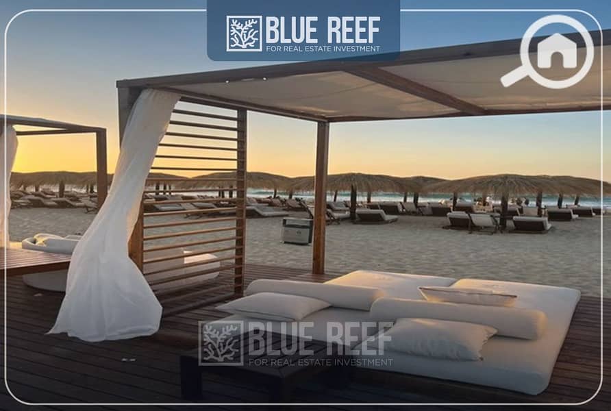 6 يبلاغعتهنخمحكجطد. jpg