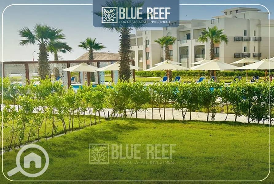 6 12345فغاى. jpg