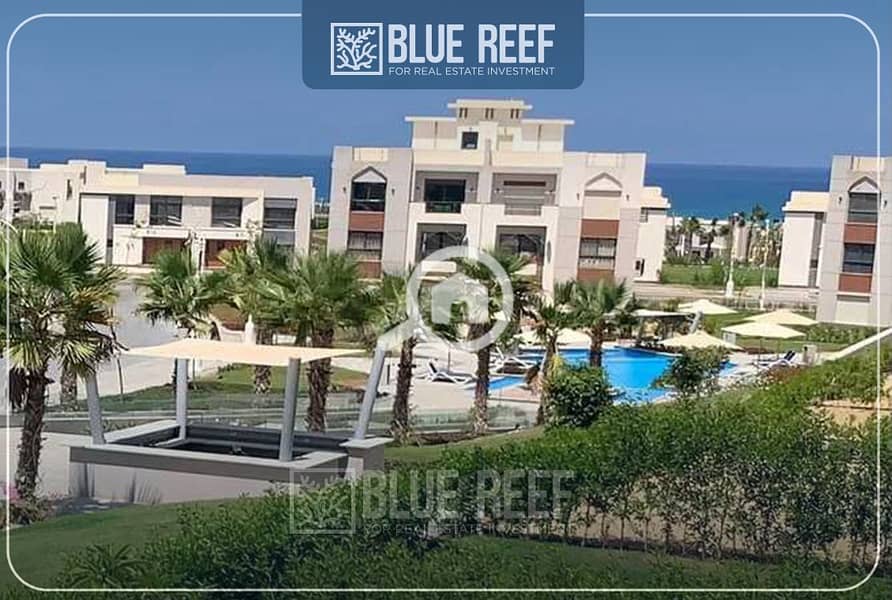 8 بلاتنمكط. jpg