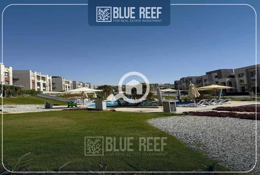 4 0987غ6ف5قثي. jpg