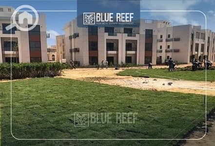 2 Bedroom Chalet for Sale in North Coast, Matruh - WhatsApp Image 2025-06-18 at 5.51. 47 PM. jpeg