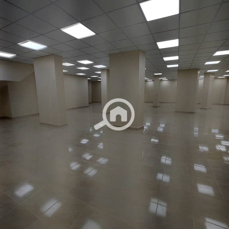 5 1000438690. jpg