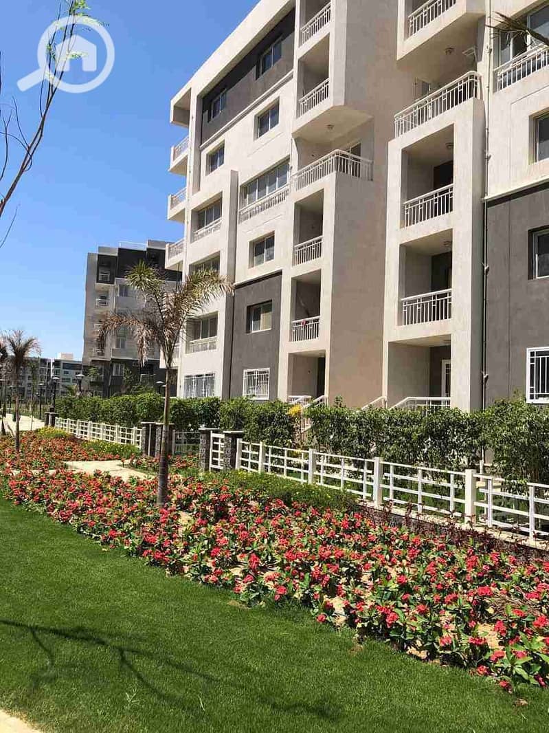 1000526754. jpg 1000526754. jpg