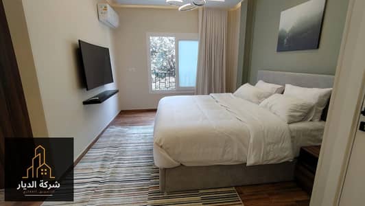 2 Bedroom Apartment for Rent in Dokki, Giza - IMG-20250614-WA0167. jpg