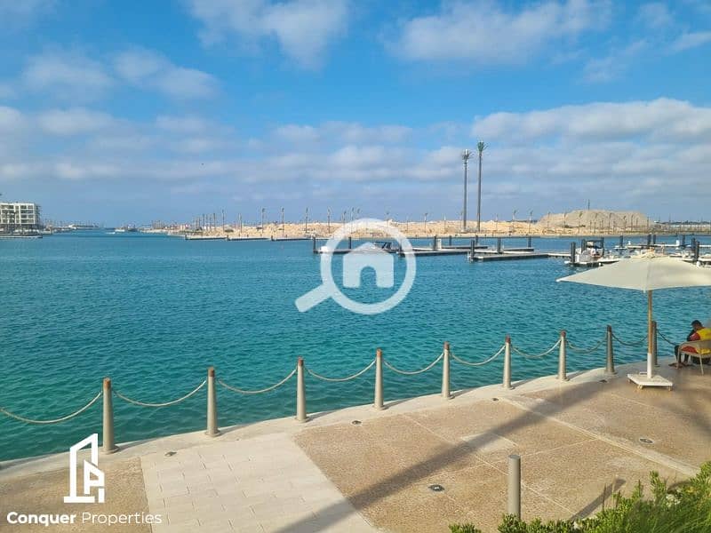 7 Untitled design - 2023-07-26T145826.077. png