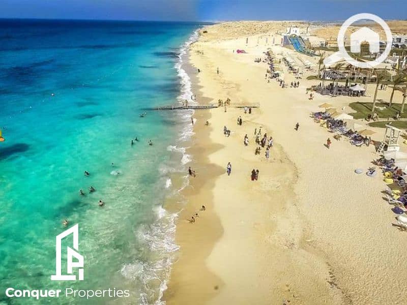 6 Untitled design - 2023-08-07T145842.491. png