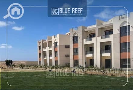 3 Bedroom Chalet for Sale in North Coast, Matruh - WhatsApp Image 2025-07-03 at 11.27. 51 PM. jpeg
