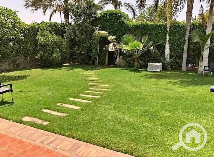 2 471165667_2110788999378008_1280268231139315628_n. jpg