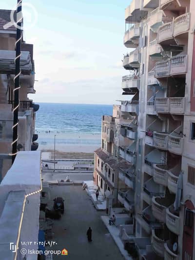 شقة 2 غرفة نوم للبيع في النخيل، الإسكندرية - 1000386604. jpg