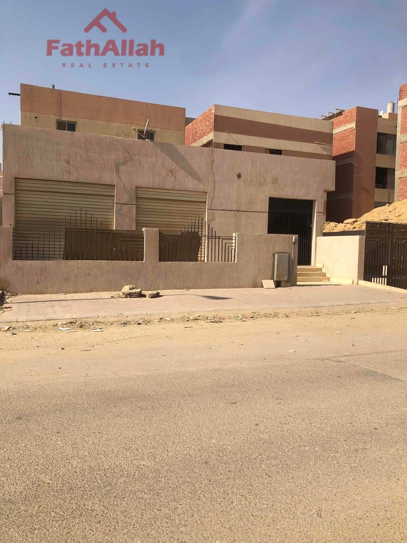 IMG_4451. jpg IMG_4451. jpg