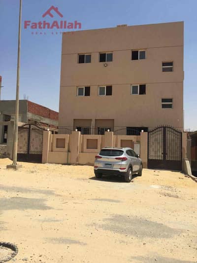 مصنع  للايجار في القاهرة الجديدة، القاهرة - 1e8f9b43-002f-4aac-bc4b-c99aa971416d. jpg