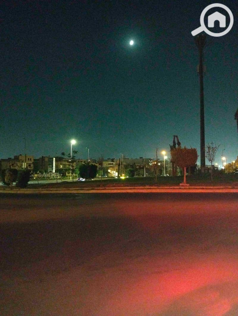 1000237317. jpg