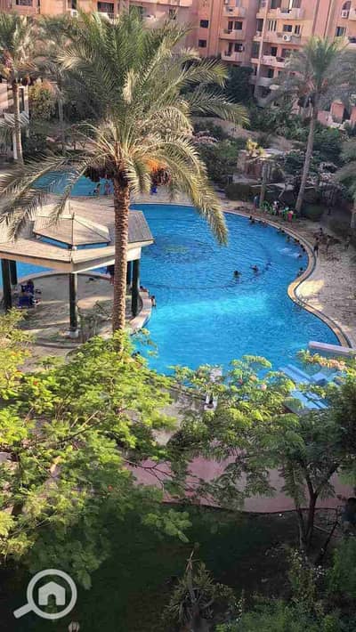 3 Bedroom Apartment for Sale in New Cairo, Cairo - 1000974483. jpg