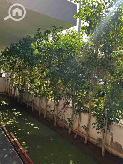 2 Bedroom Flat for Sale in New Cairo, Cairo - IMG-20251001-WA0013. jpg
