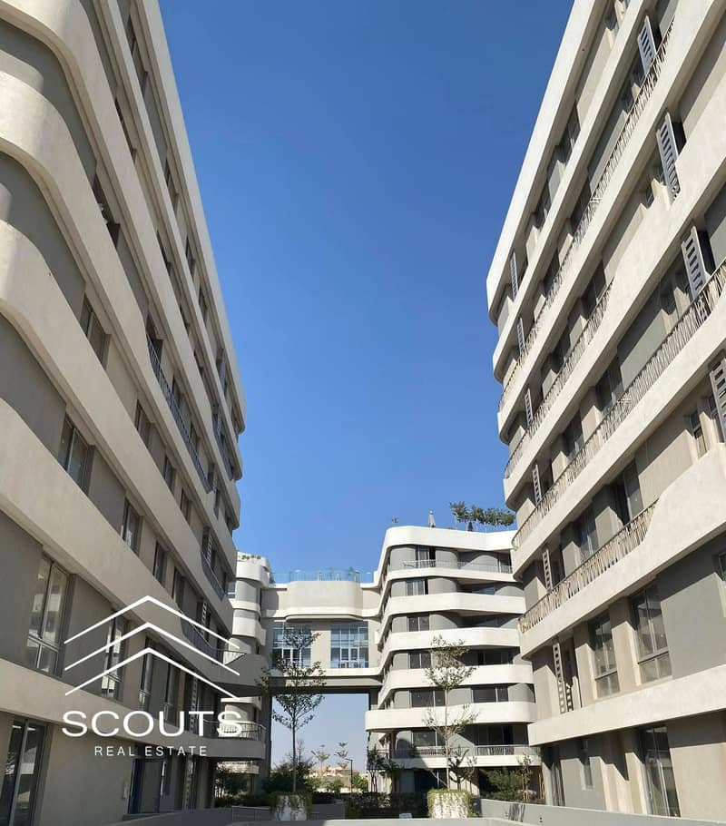 11 547414601_122184514766454983_6345032139568576868_n. jpg