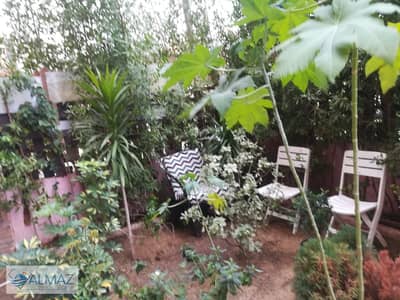 فلیٹ 3 غرف نوم للايجار في مدينة نصر، القاهرة - IMG-20250831-WA0034. jpg