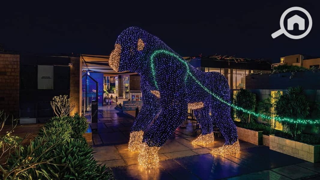 6 3400ddf91f0944e388a7317b9444a7f5. jpg