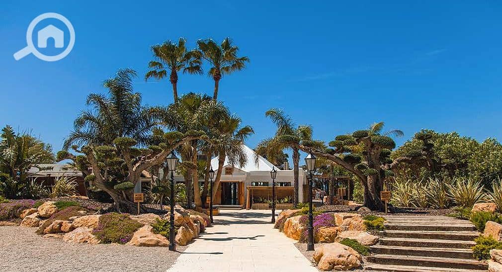 7 ae0b90f2edf943d8a879e5bb6f960a28. jpg