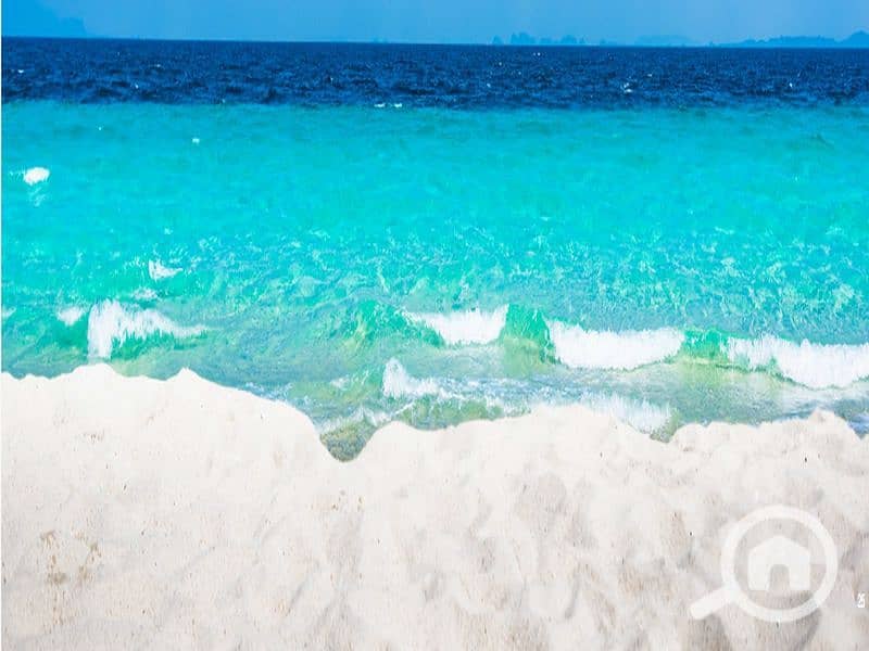 2 Screenshot 2024-08-08 181930_800x600. jpg