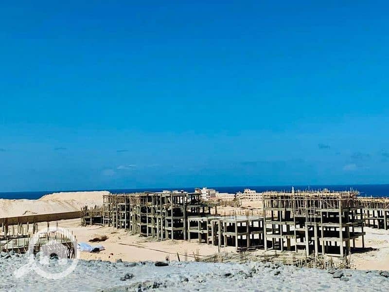 16 WhatsApp Image 2024-07-29 at 14.57. 23_f018de08_800x600. jpg