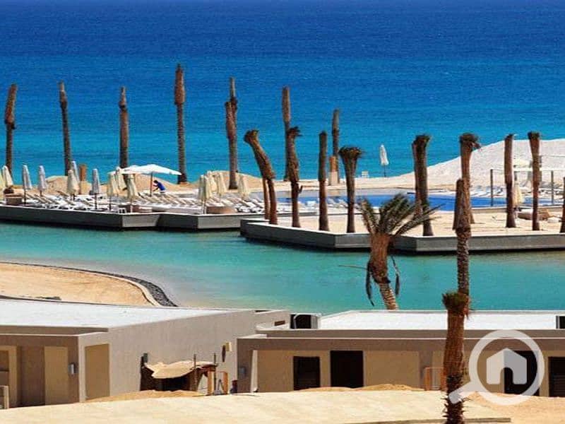 6 1-600x600-2_800x600. jpg