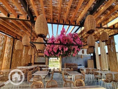 شاليه 3 غرف نوم للبيع في الساحل الشمالي، مطروح - WhatsApp Image 2025-04-07 at 12.04. 52 PM_800x600. jpg شاليه 3 غرف نوم للبيع في الساحل الشمالي، مطروح - WhatsApp Image 2025-04-07 at 12.04. 52 PM_800x600. jpg