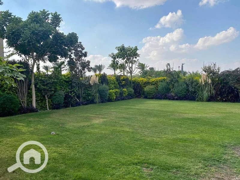 2 474485511_982314947116287_560974654325721072_n. jpg