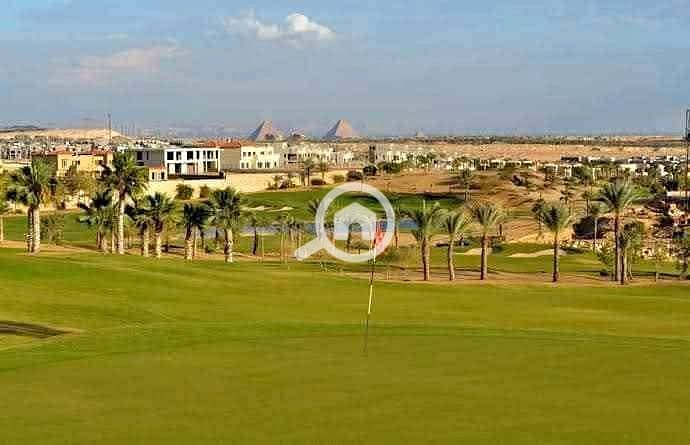 4 469535506_1615093282697635_4532356587708935553_n. jpg