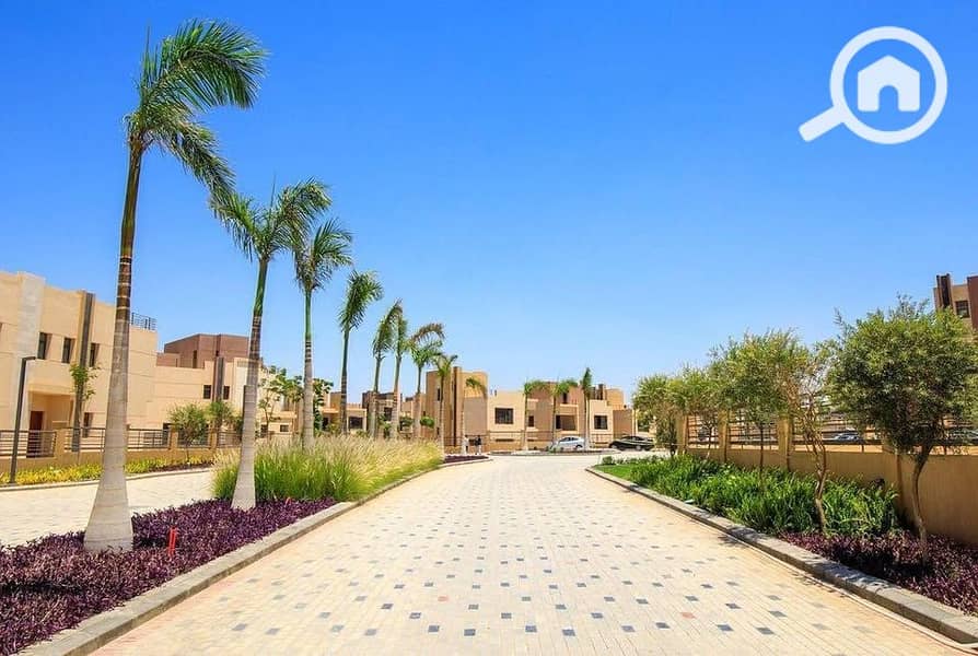 10 480194360_3841326159468282_4800244575543205014_n. jpg