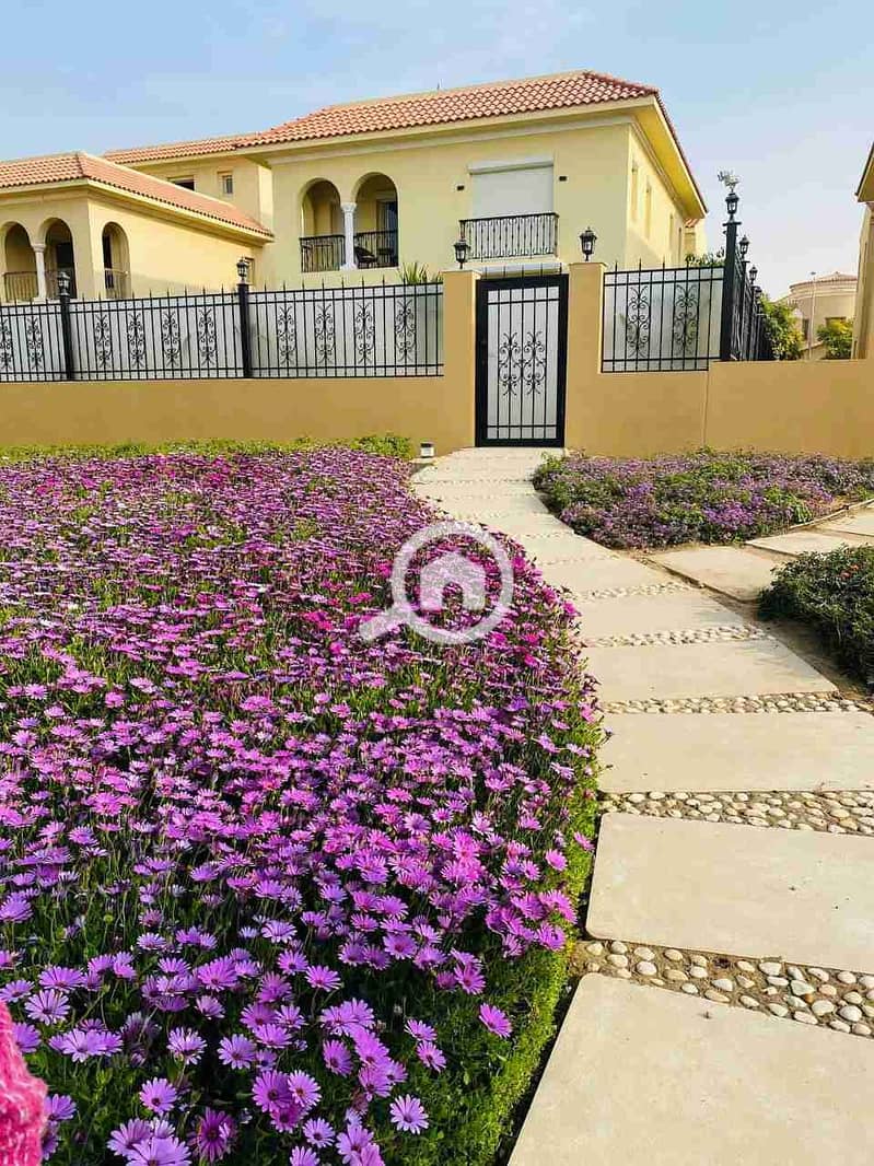 5 IMG_20230326_190108_205. jpg