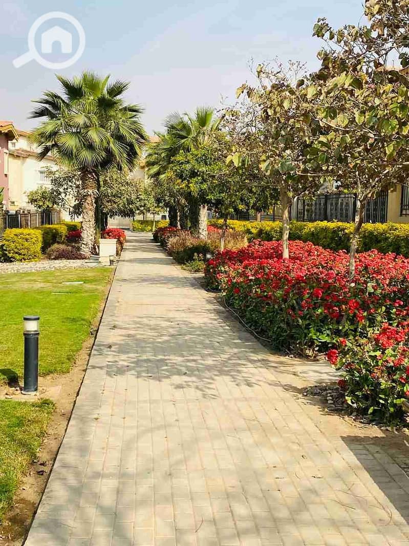 7 IMG_20230326_190047_981. jpg