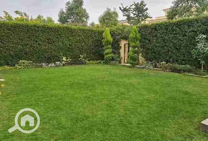 2 FB_IMG_1756074836749. jpg